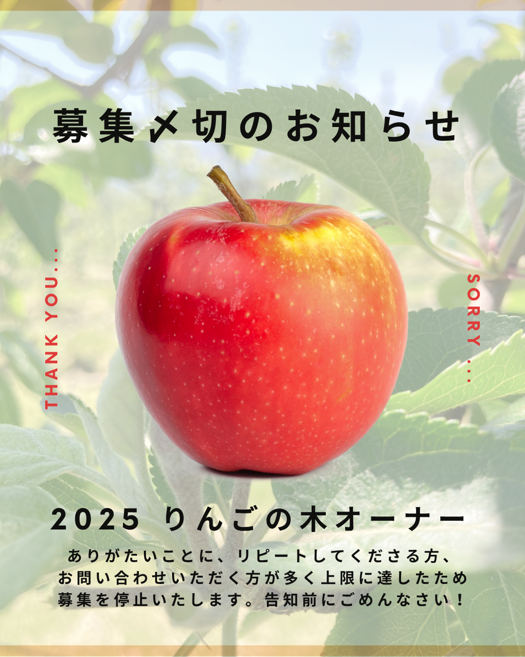 ははりんご キュンとする甘酸っぱさ！ちびっこりんご(2玉NZ産)|ISETAN DOOR