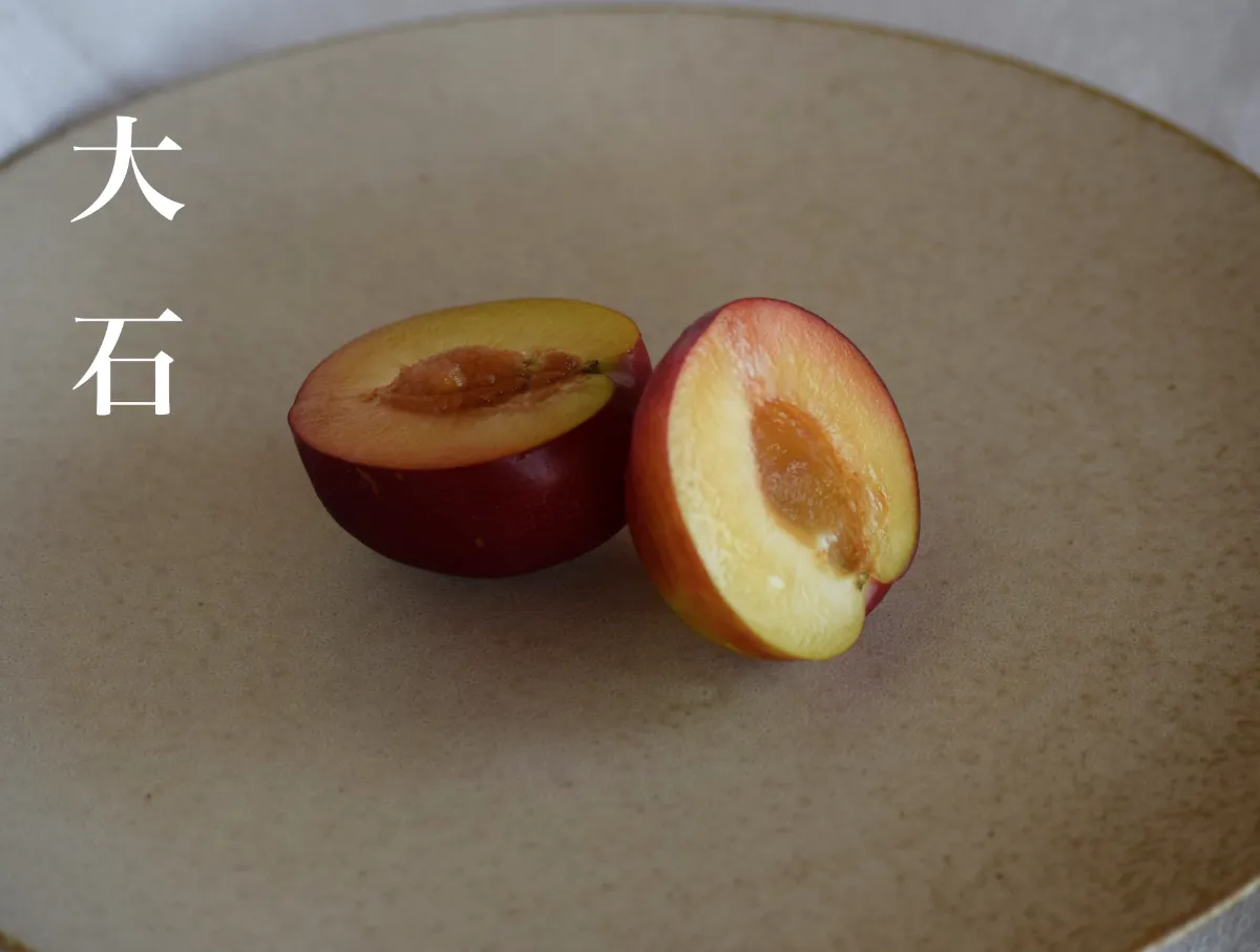 硬いすもも　6キロ　SMサイズ 硬いすもも6キロSMサイズ｜Www.ferriera-valsabbia.com