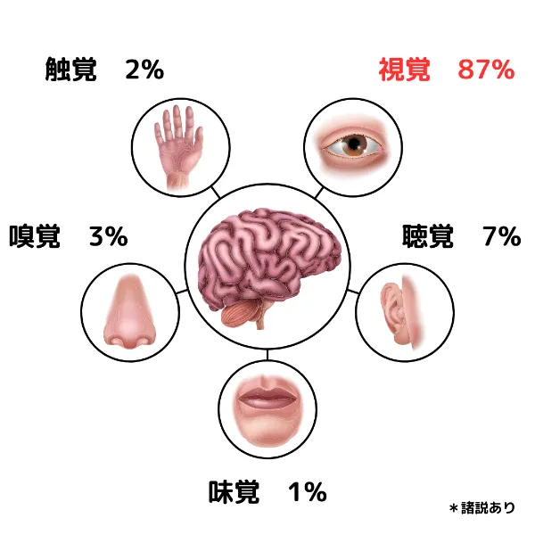 五感それぞれの割合