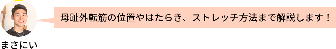 母趾外転筋の説明