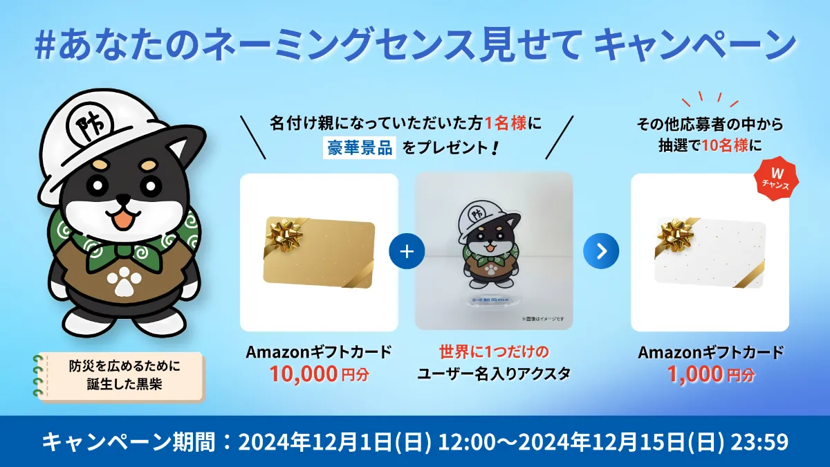 二人の追憶 キャンペーン応募カード トレカ 専用ページ Z/Xを予約してメッセージカードをGETキャンペーン