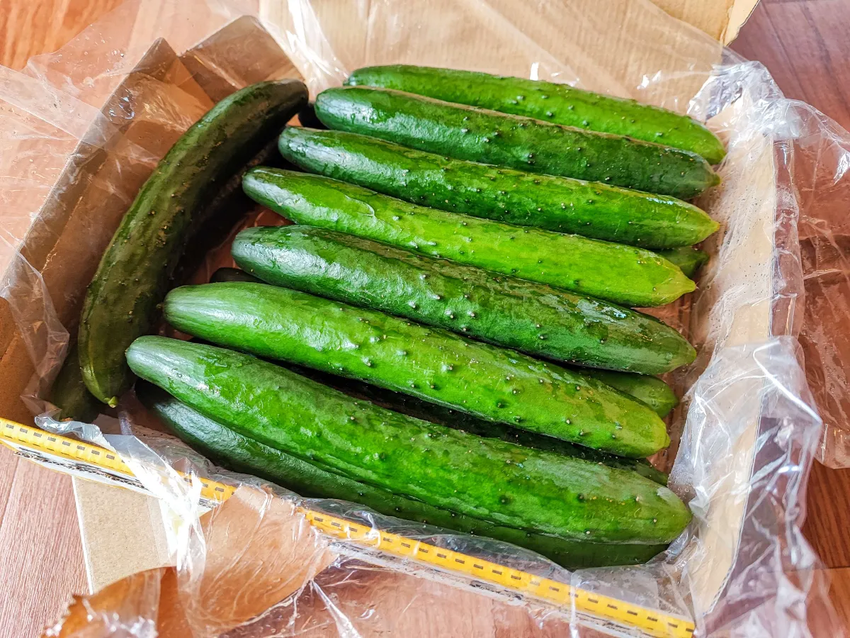 新鮮野菜がおうちに直接届きます。野菜マルシェの「ごちそう野菜」を