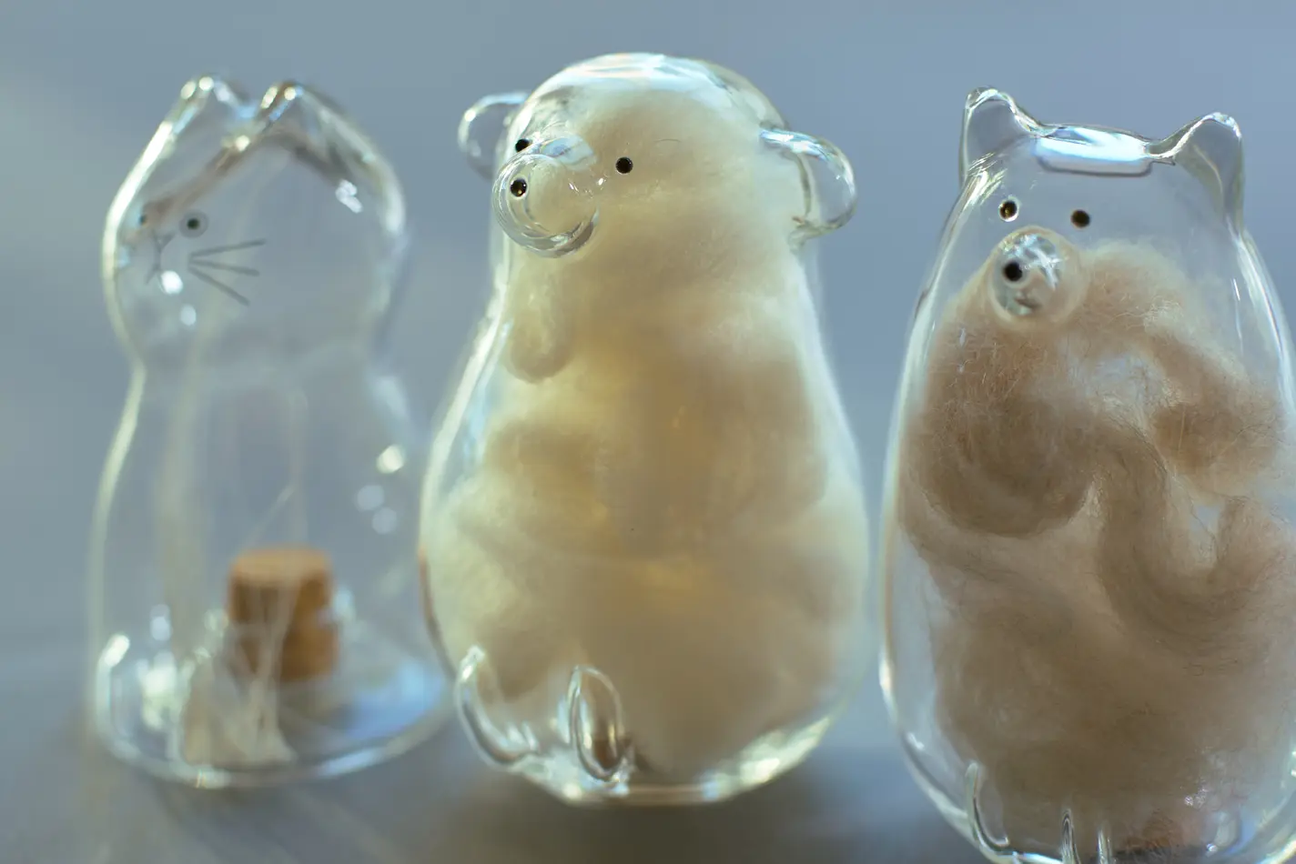 もうすぐ開始】争奪戦の気配が……超人気「うちの子のけだまだま」から