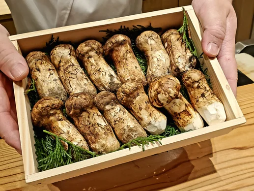 山梨県産　天然極太極上 松茸　189g 山梨県産 天然極太極上 松茸 320g 食品