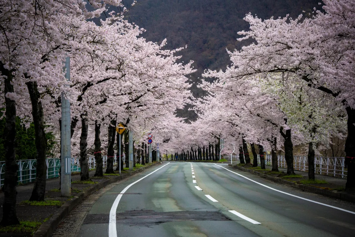 Yamagata Japan Travel｜Discover Japan's Quiet Beauty Beyond the