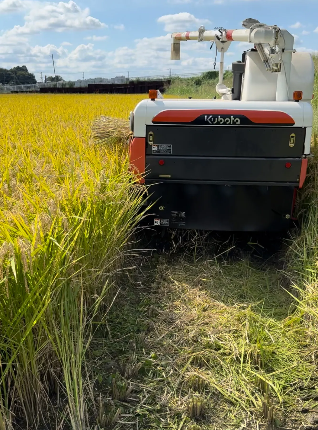 新米を収穫しました！ ｜いやしろ 大宮氷川参道カフェ
