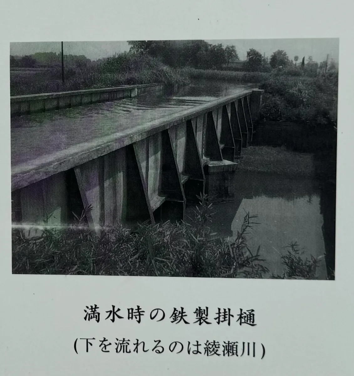 トリオ 無風の湖水風景 1918年 置き場管理 002 トリオ 無風の湖水