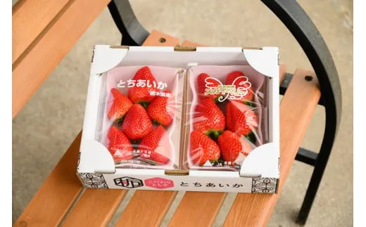 小竹いちご園｜ふるさと納税返礼品のご紹介