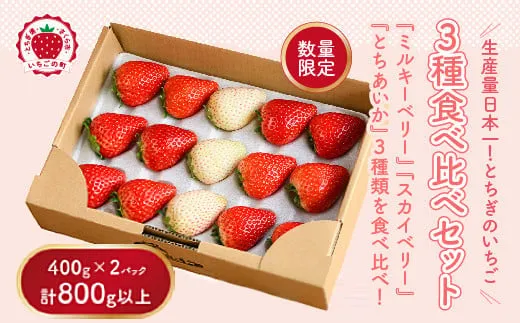 いちごページ ♡ 10パックセット 食べチョクいちご博2024 金賞】有機JAS認定 茨城県産有機いちご（恋