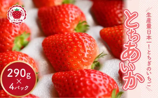 小竹いちご園｜ふるさと納税返礼品のご紹介