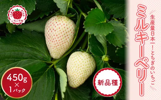 小竹いちご園｜ふるさと納税返礼品のご紹介