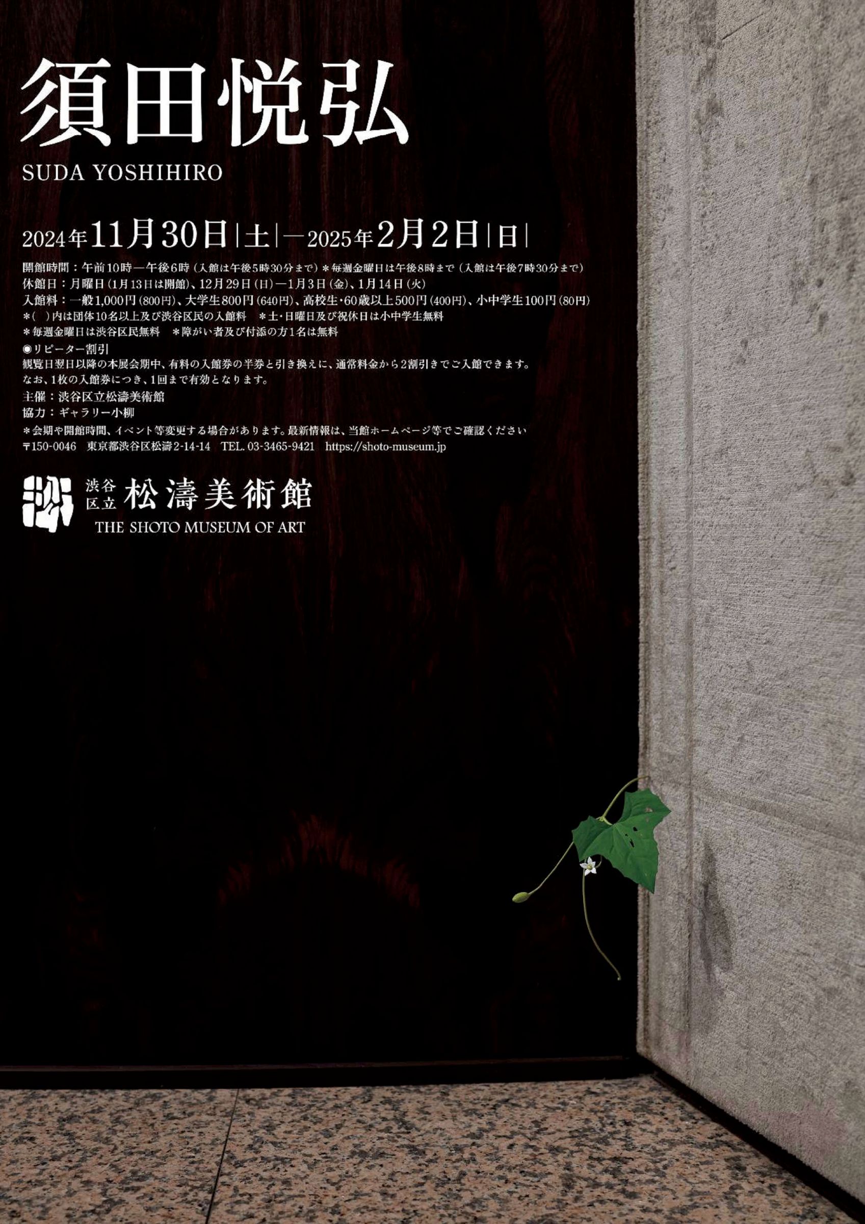 s-1698x2400_v-