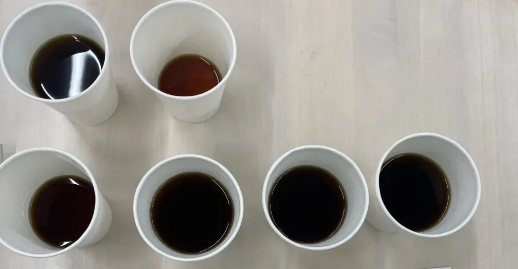 色々な種類のコーヒーを紙コップに淹れて飲み比べている様子。