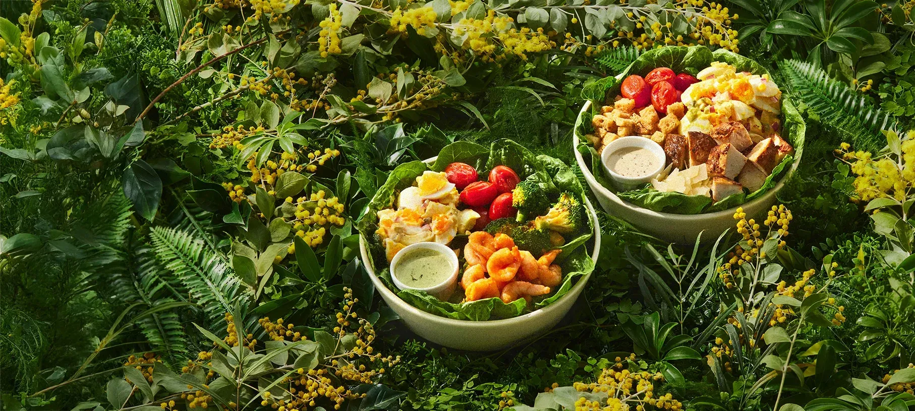 『法人向けCRISP SALAD WORKS (クリスプ・サラダワークス)』イメージ画像