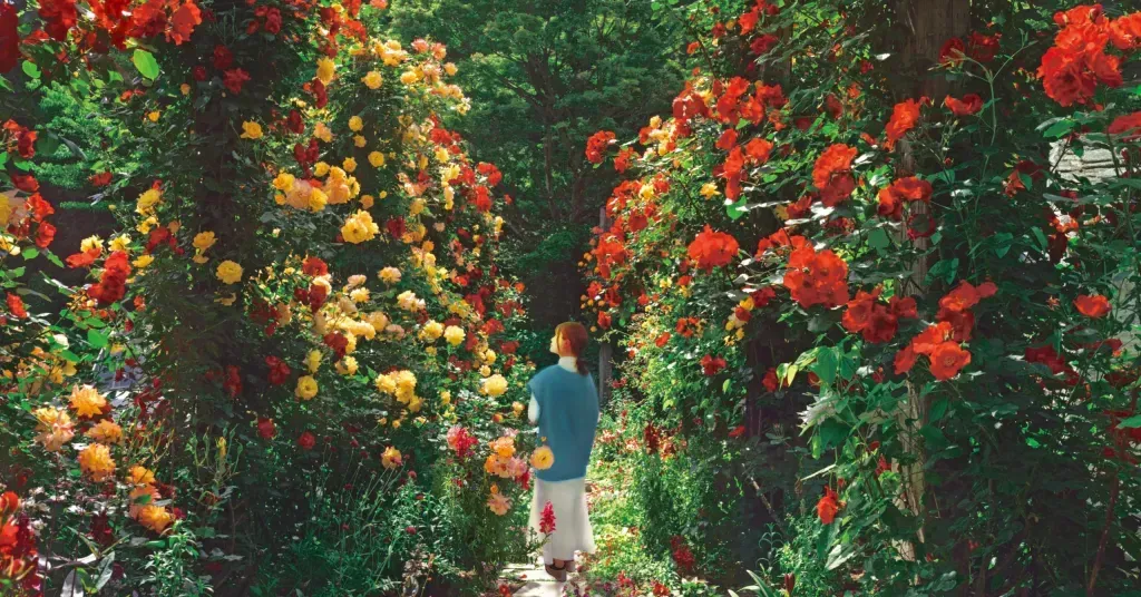 s-1024x536_8dd12344-cb17-4e71-