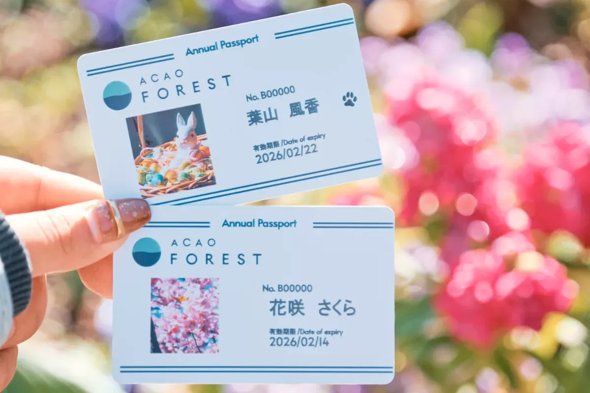 s-1200x800_03da9335-4f47-46b5-