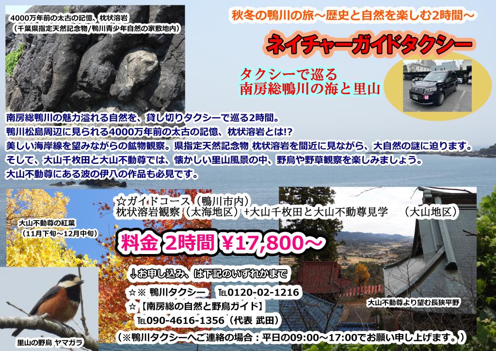 ツアータクシーの概要