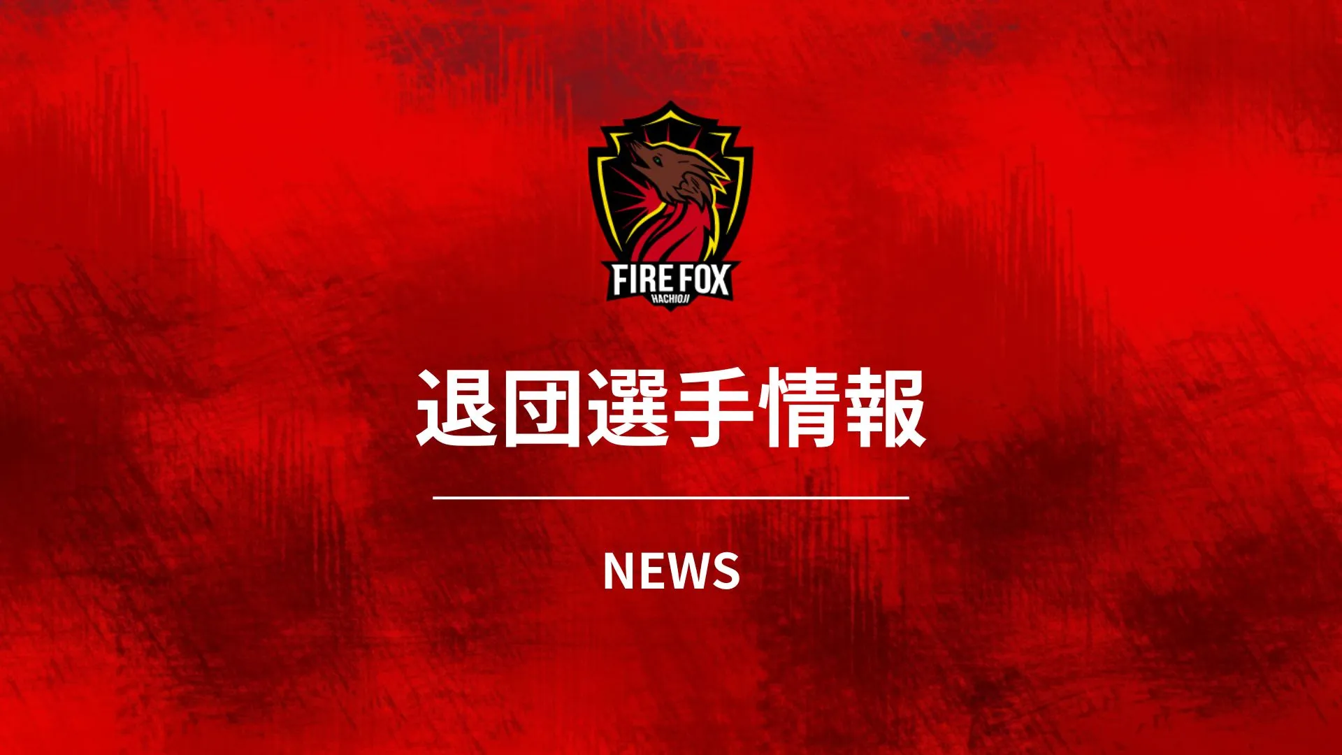 2026シーズン】ファイルフォックス八王子レディース 関東女子