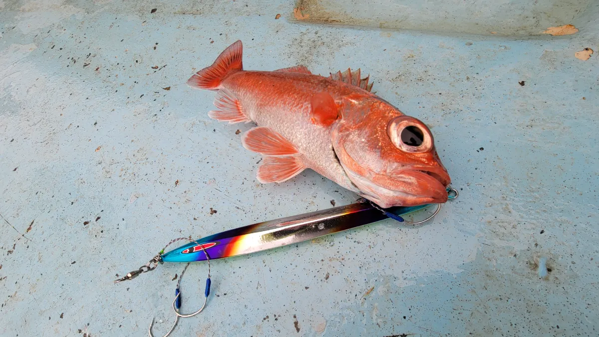 中深海｜ブログ｜