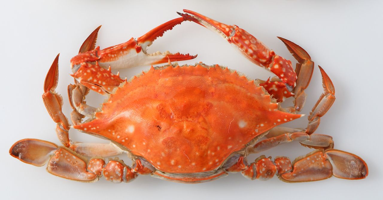 素材のちから - カニの身でつくるキラーメニュー