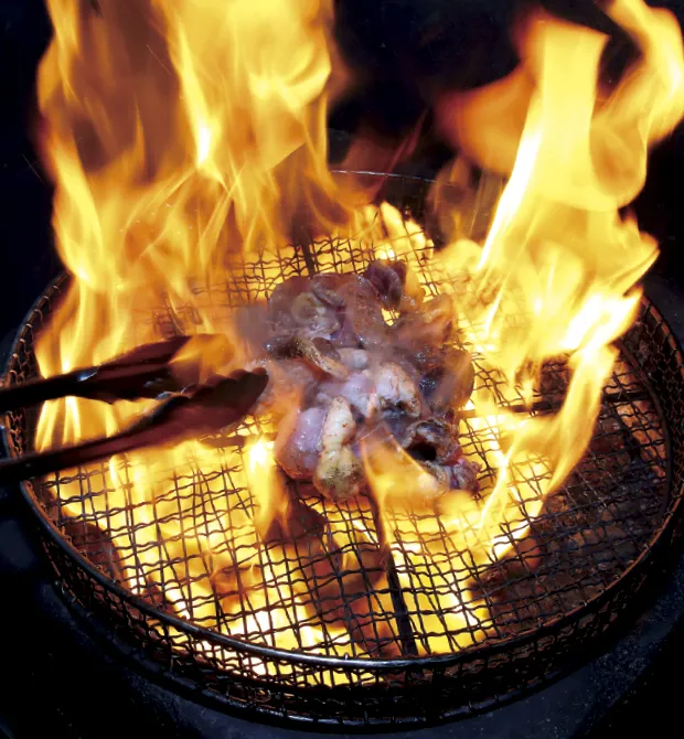 素材のちから - 黒さつま鶏─黒王