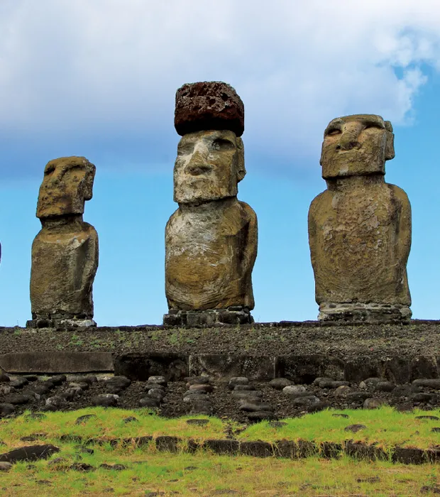 素材のちから - モアイの謎に思いを馳せながら楽しむイースター島の幸