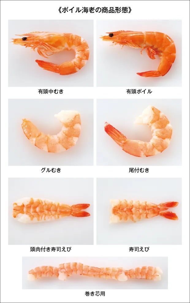 素材のちから - ボイル海老をどれだけ知ってる？