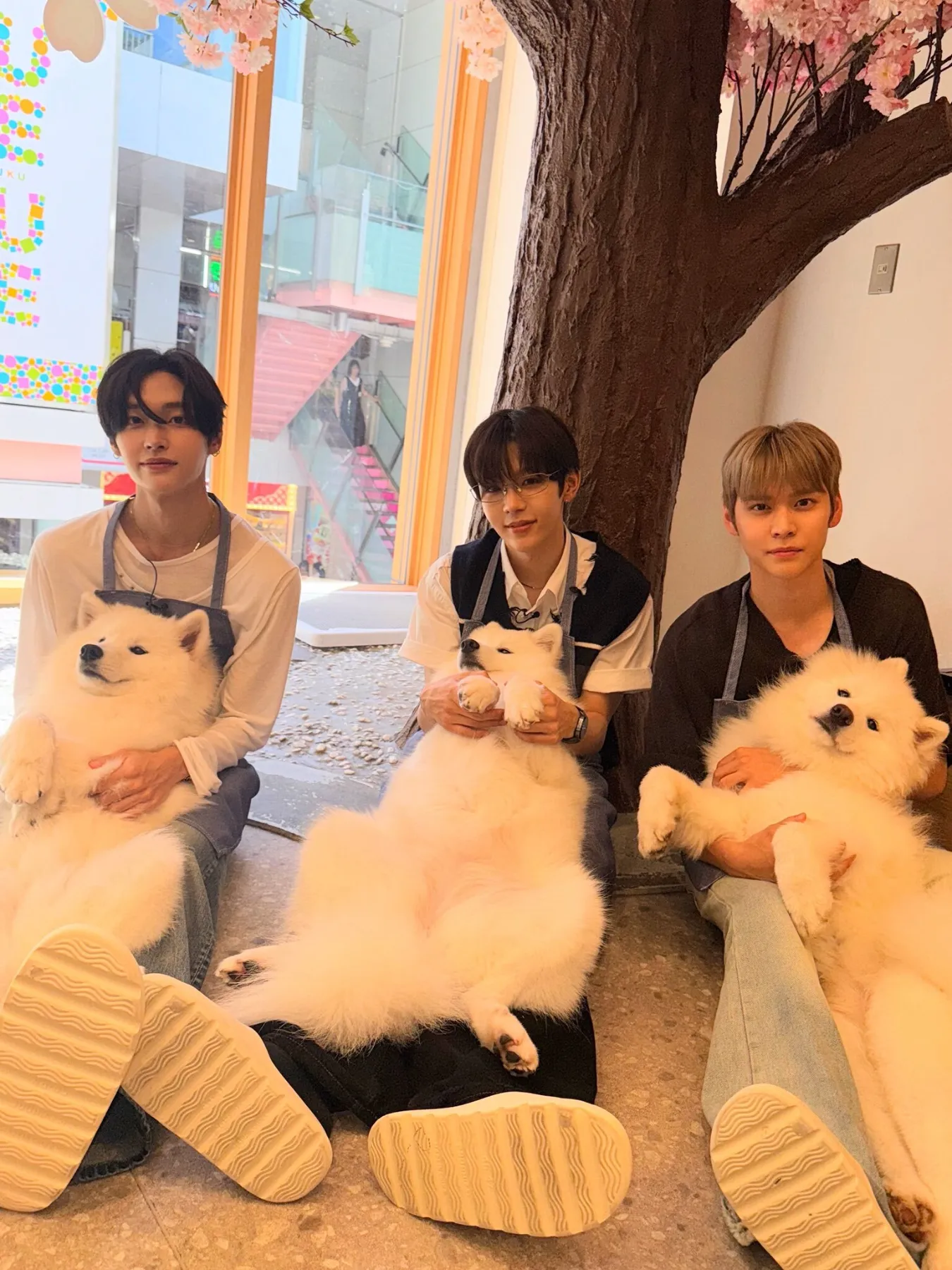 新品未開封 モンスターネットカフェ 新品未開封 モンスターネットカフェ 新品未開封 モンスターネット