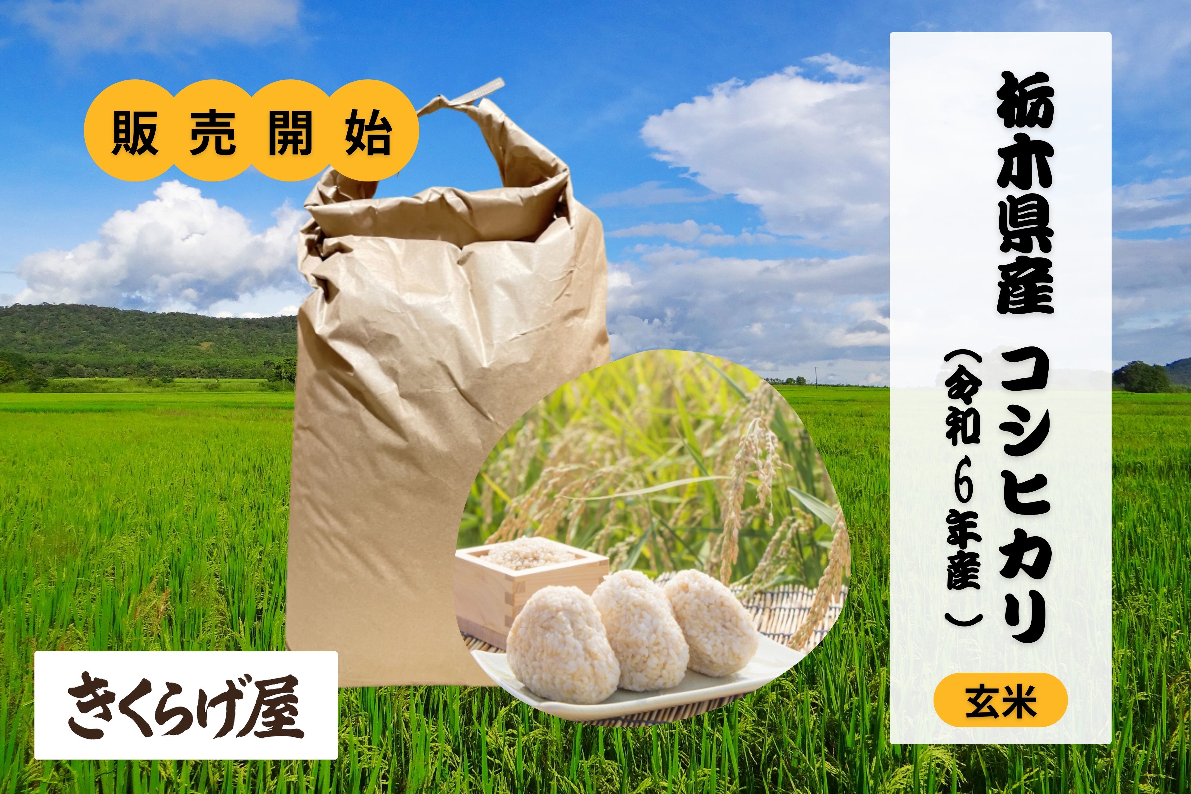 24日15:00まで限定セール7,840→7,340　群馬県米10kg　令和5年 公式】クールコネクト株式会社お知らせ／コラム_【クール