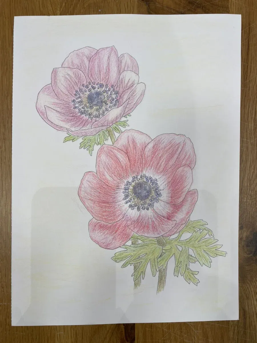 ご利用者さまの素敵な塗り絵作品をご紹介します！ ｜就労継続