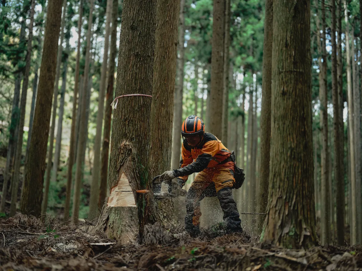 原石リシド（ドミナス）　大会構築 遊戯王】原石リシドの構築と回し方の解説｜otabe
