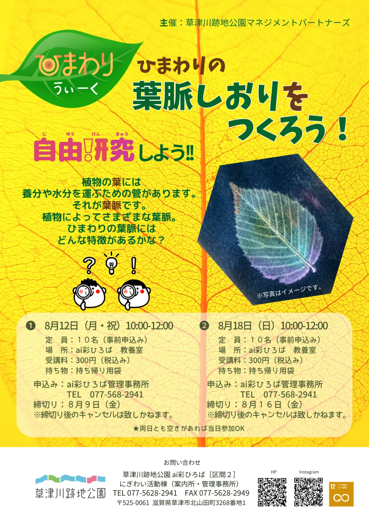 ひまわりさん専用です。他の方は取引致しません！ 2025年夏満喫！ 絶景ひまわり畑と立ち寄りスポット｜特集｜和歌山県