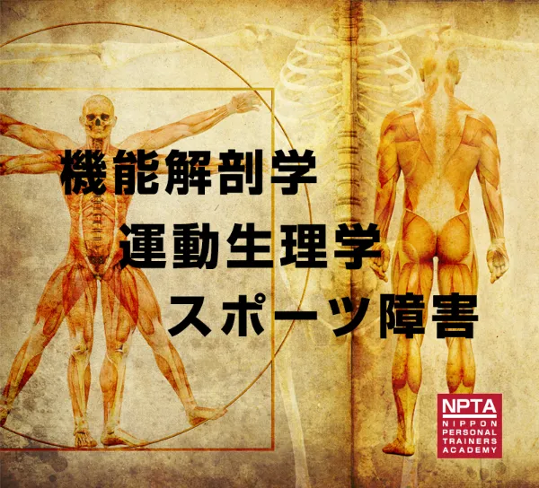 NPTA日本パーソナルトレーナーズアカデミー