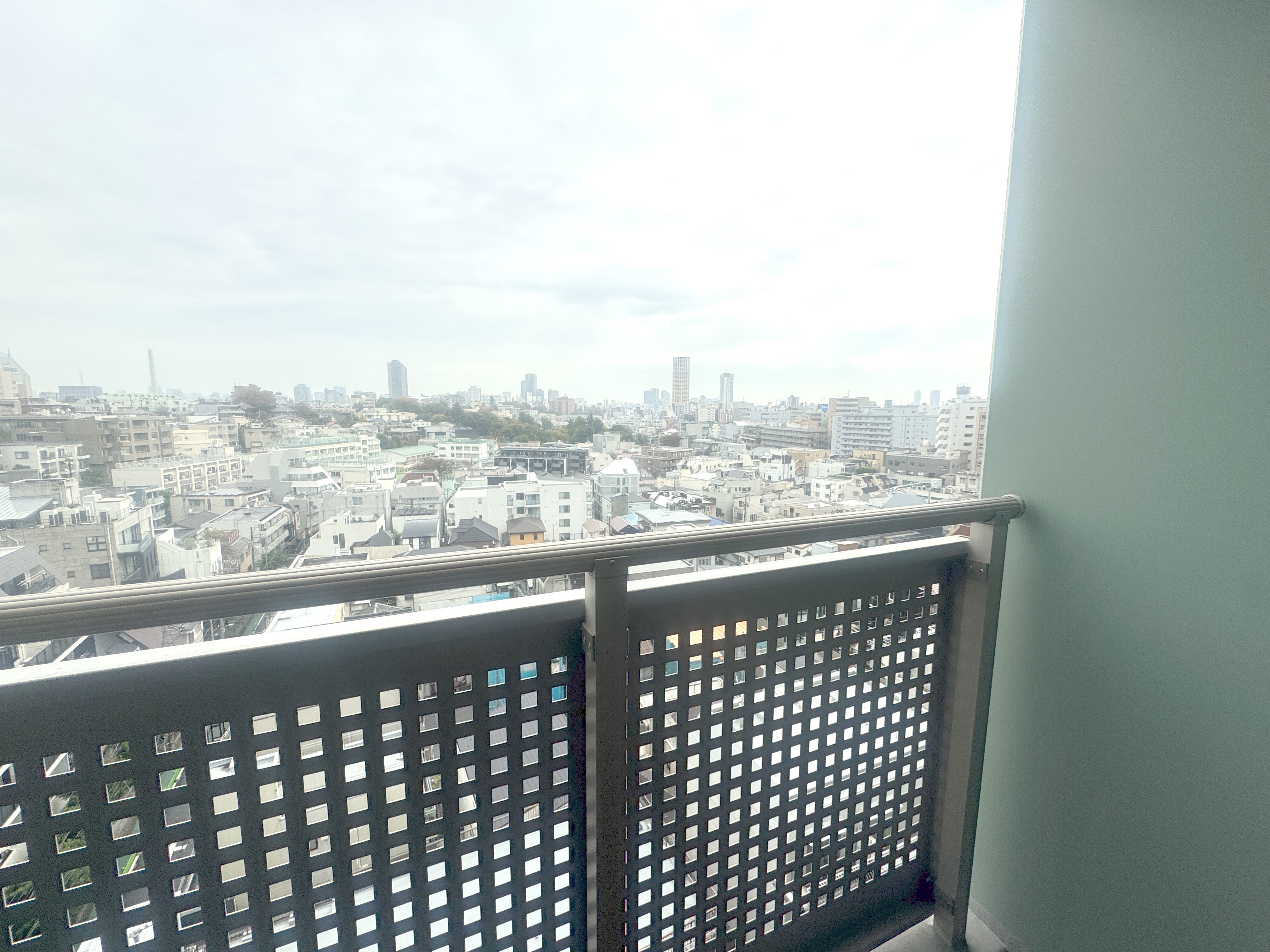 ソプラタワーのバルコニー2