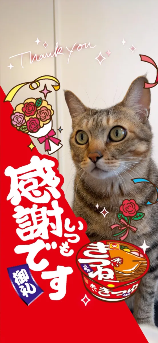 希少⭐️激レア⭐️非売品⭐️動作品⭐️赤いきつね しゃべるんですカメラ⭐️東洋水産 東洋水産「赤いきつね・緑のたぬき」に期間限定ARフォトフレーム