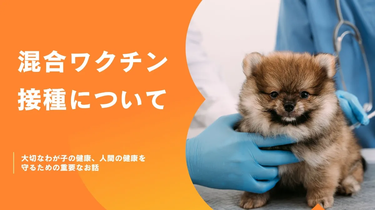 最新犬の新生子診療マニュアル Amazon.co.jp: VETERINARY BOARD No.73（2025年5月号）新薬