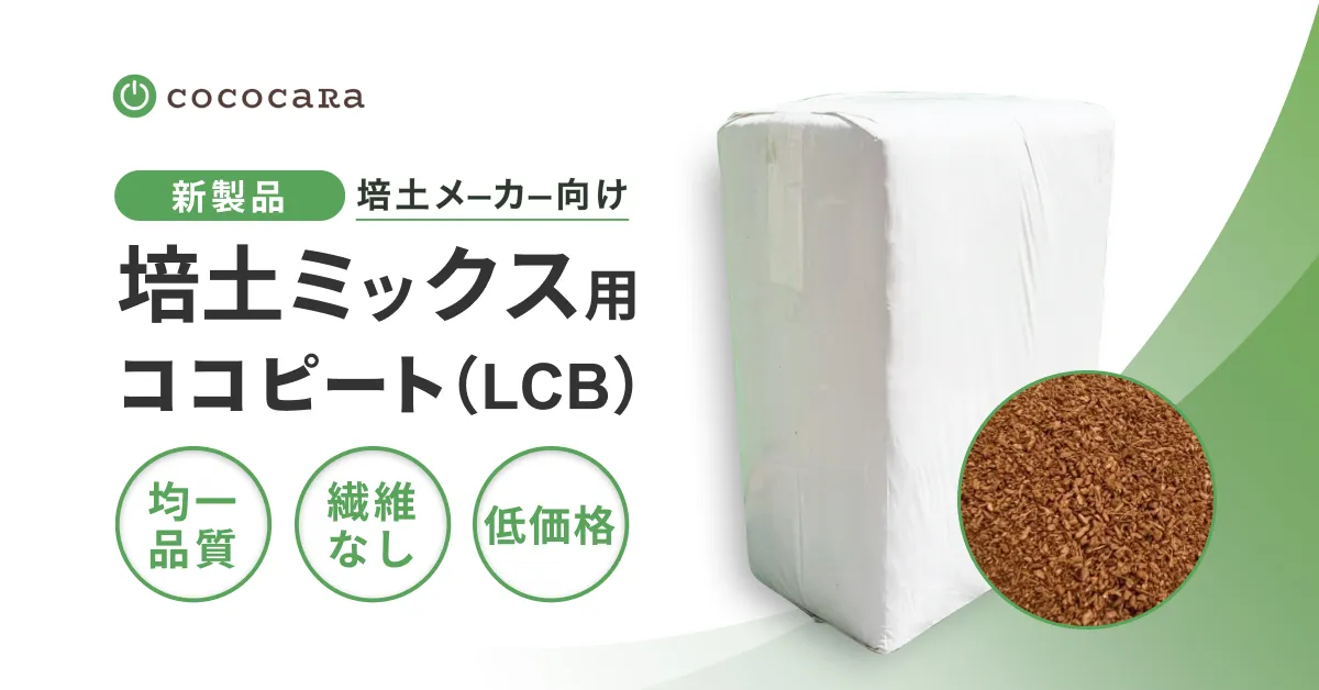 s-1200x628_v-fms_webp_11aea100