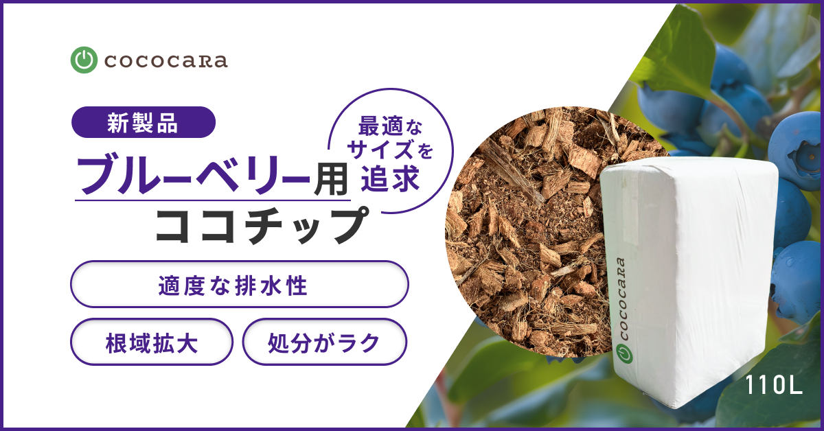 新製品】「ブルーベリー用ココチップ」 ー最適な排水性・根域