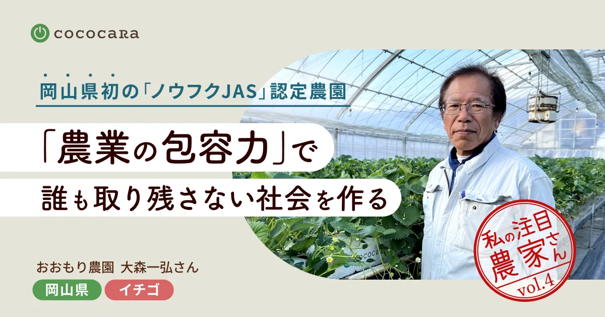 いのちを守る農場から 送料無料 Amazon.co.jp: skycabin バードネット【鳥から田畑や果樹を守る