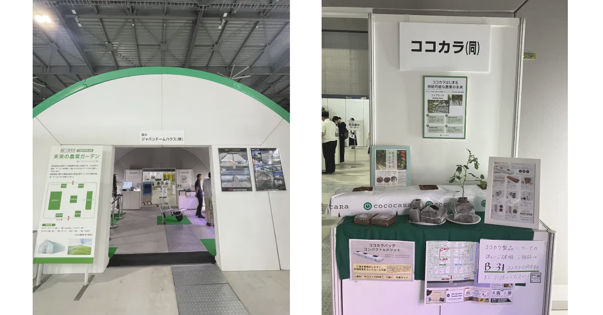 【中古】 果樹農業の展望/農林統計協会/豊田隆 中古】 果樹農業の展望/農林統計協会/豊田隆 楽天市場】【中古