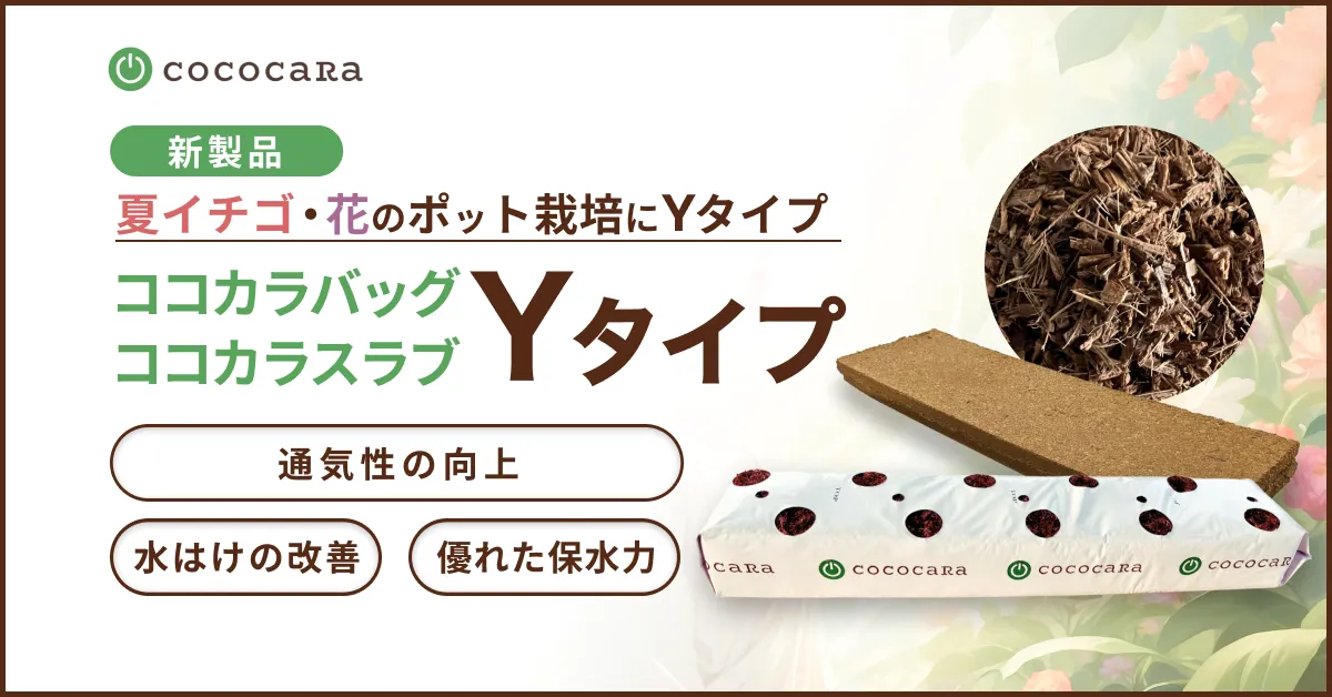 新製品】夏イチゴ・花のポット栽培に、新たな選択肢を 「ココカラ