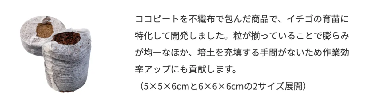 新製品「ココカラバッグーイチゴ親株用ー」 作業効率UP・コスト減へ