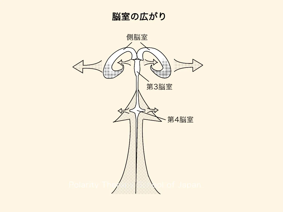かずさん | 1分でわかる脳画像マニュアル | 他の投稿はこちら