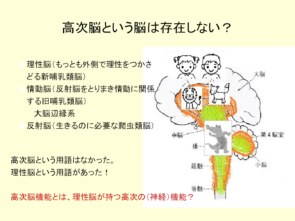 医療法人たんぽぽ会 │ 島田脳神経外科