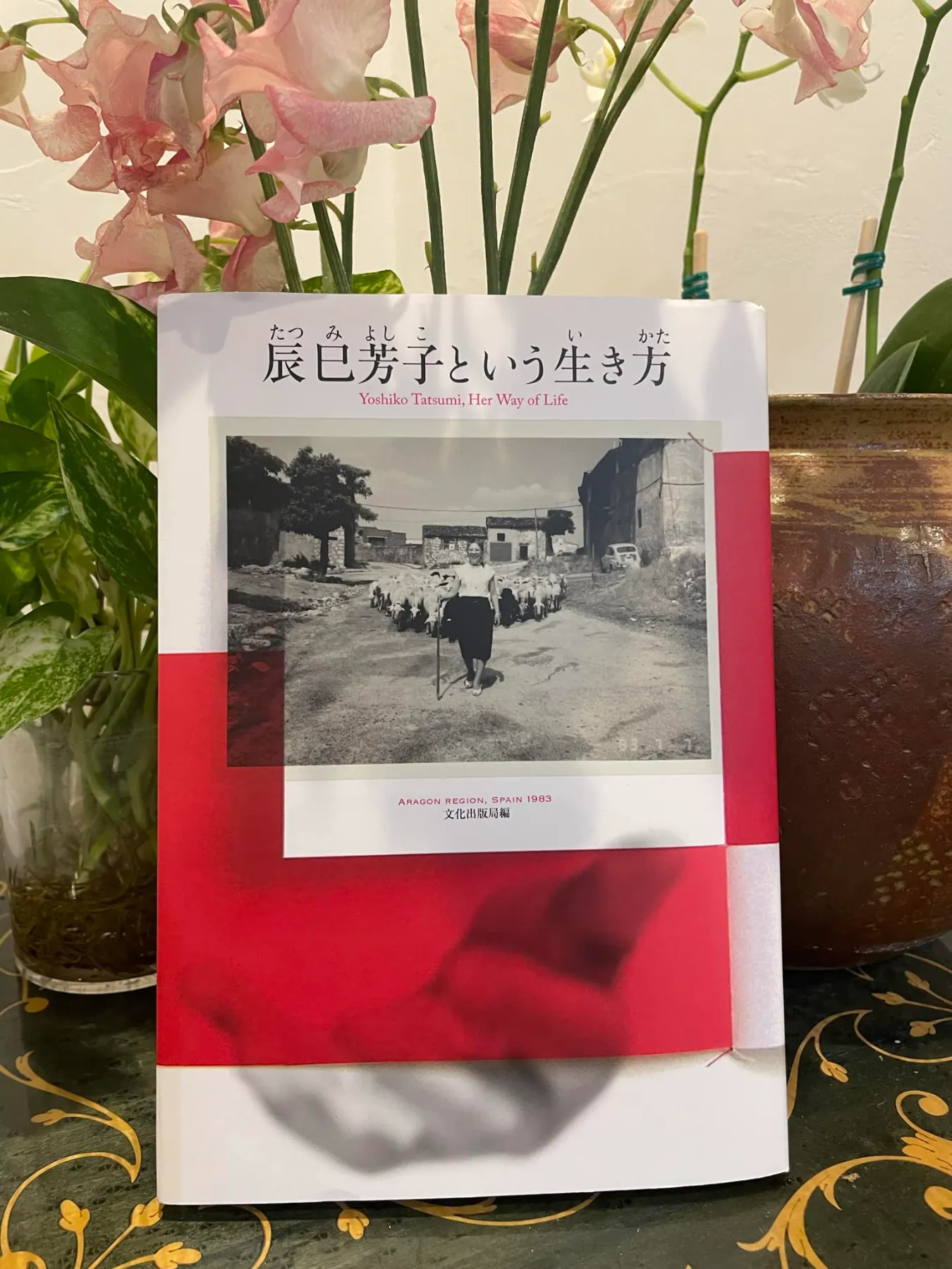 芳子 おしらせ｜大豆100粒運動を支える会