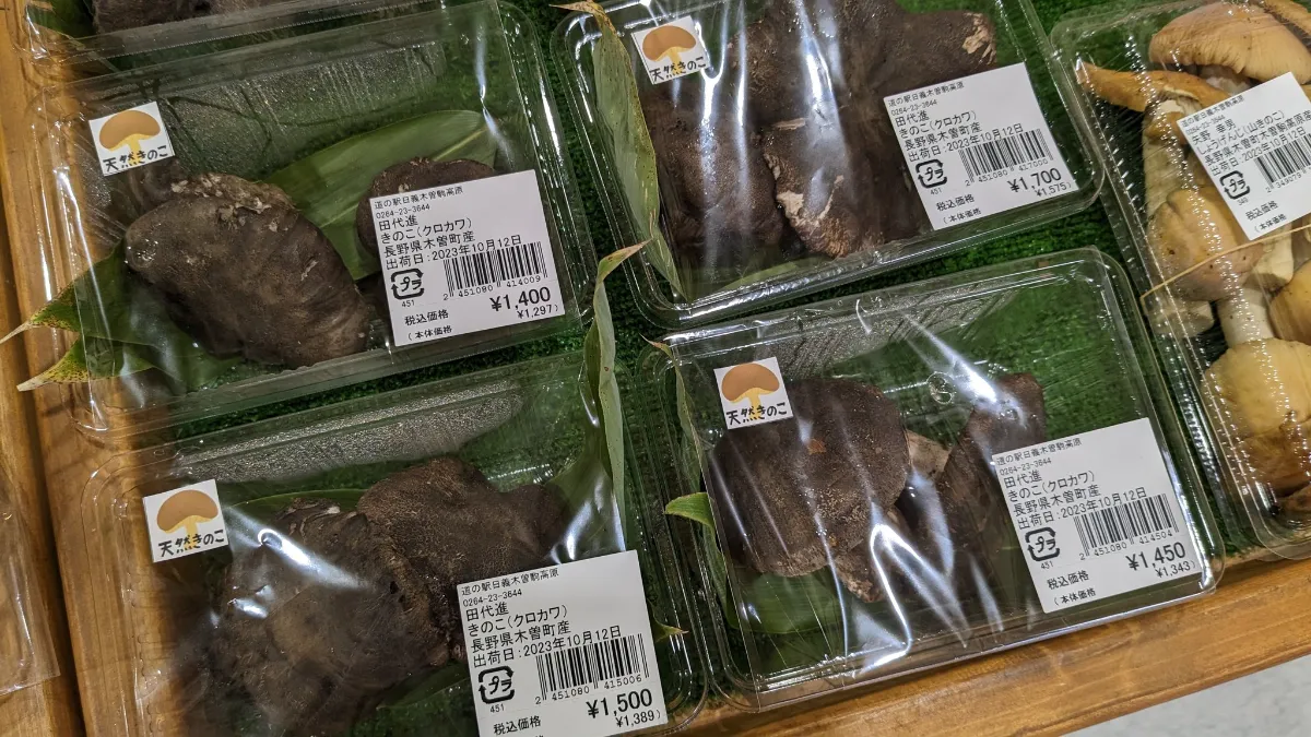 天然キノコ　クロカワ　650グラム 木曽の情報『きそナビ』by 道の駅日義木曽駒高原