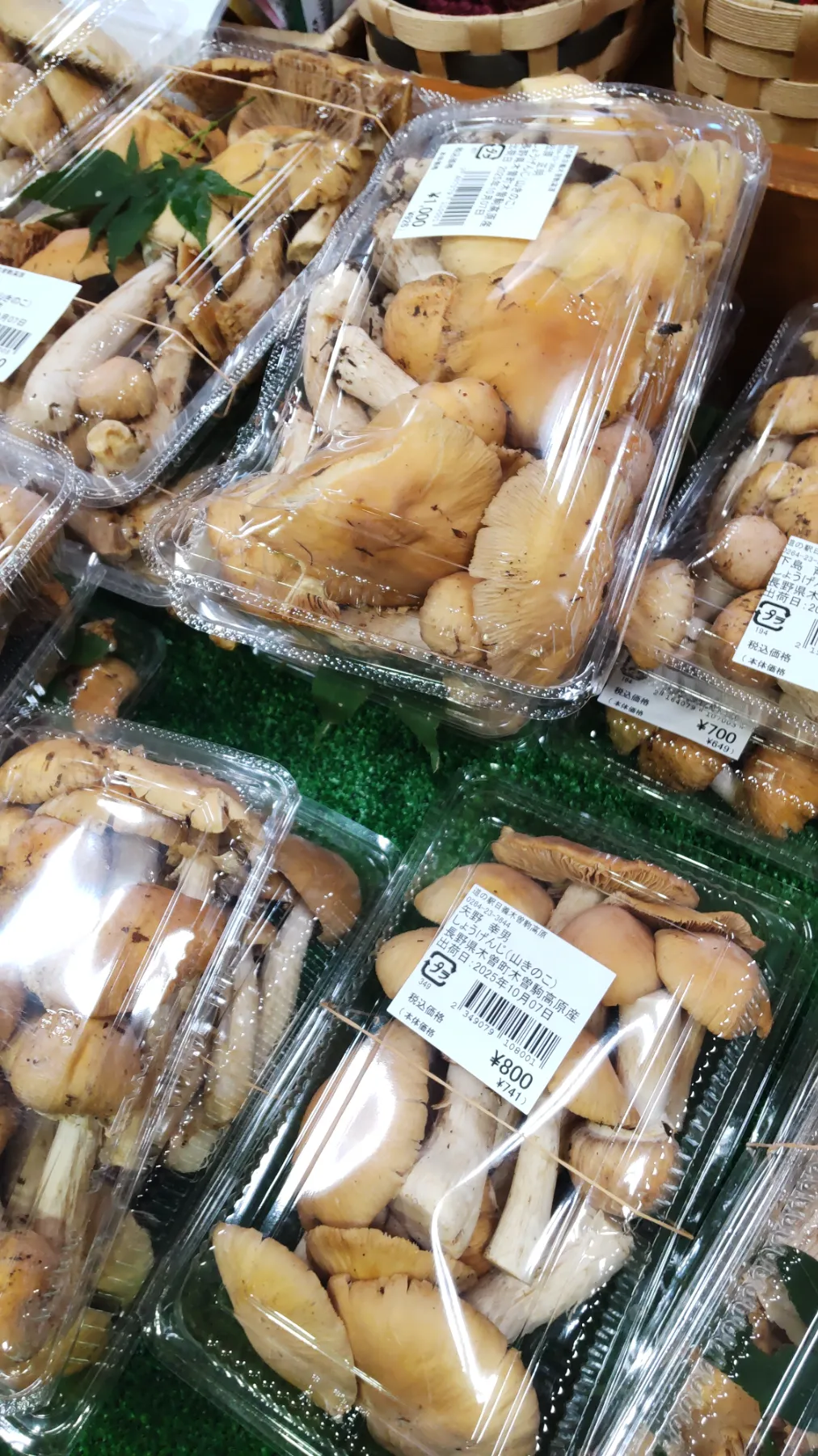 木曽の情報『きそナビ』by 道の駅日義木曽駒高原