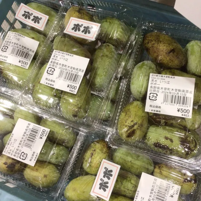 信州産　幻のポポの種子　ポスト投函 信州産 幻のポポの種子 ポスト投函 信州産 幻のポポの種子