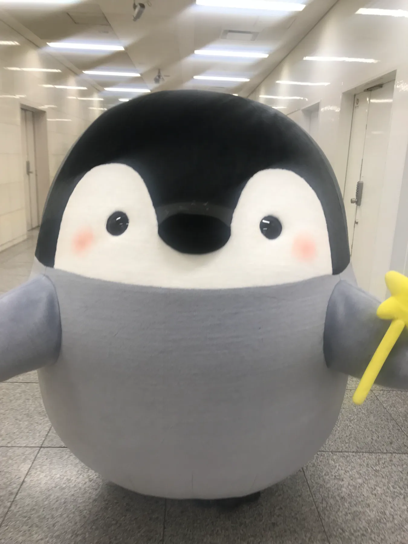 コウペンちゃん エアー着ぐるみ |バルーン造形や着ぐるみ製作 コウペンちゃん エアー着ぐるみ |バルーン造形や着ぐるみ製作