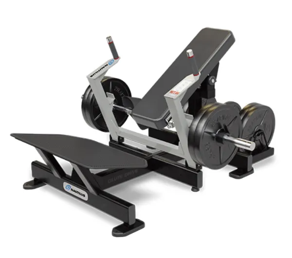 グルートドライブ